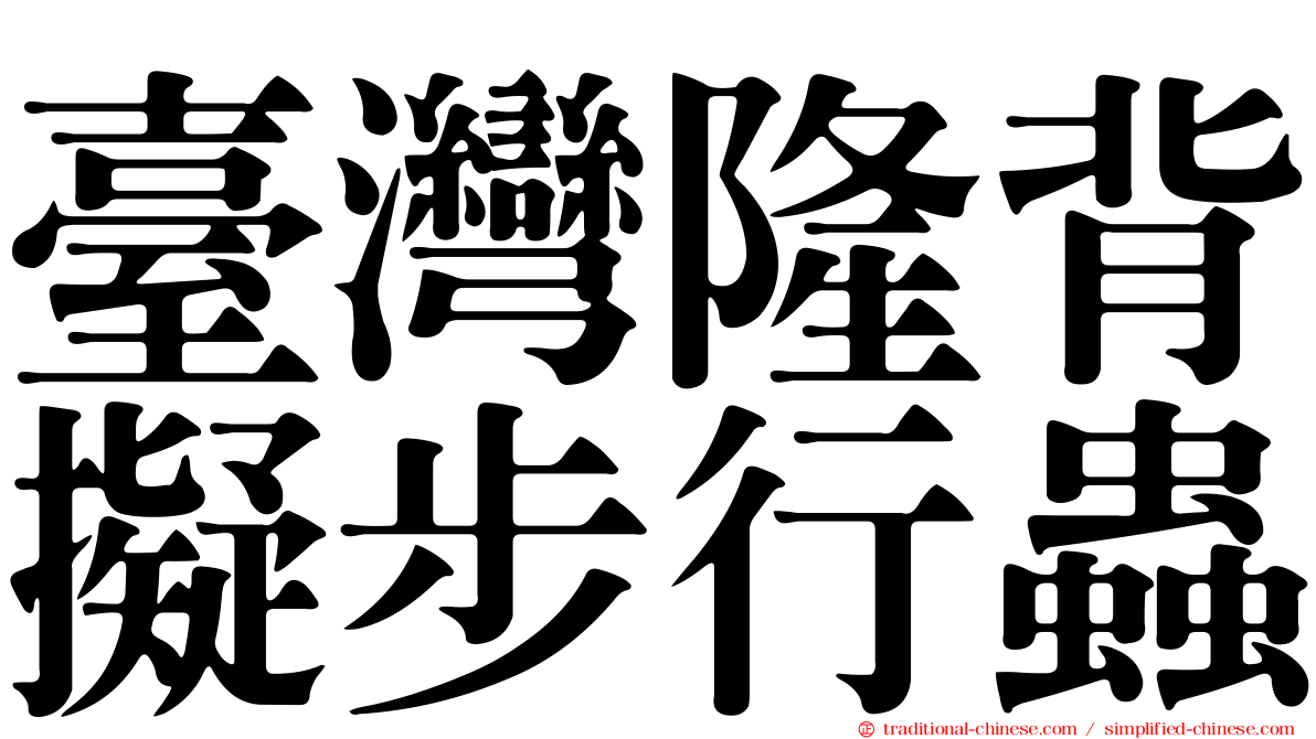 臺灣隆背擬步行蟲