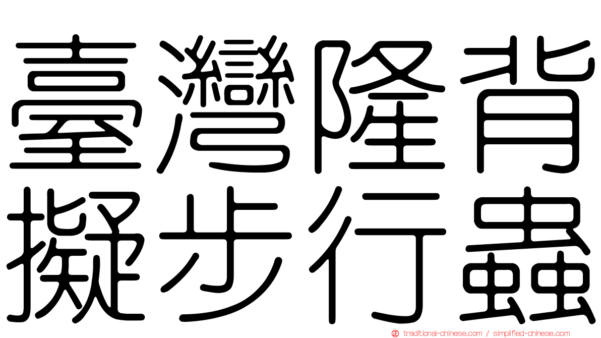 臺灣隆背擬步行蟲