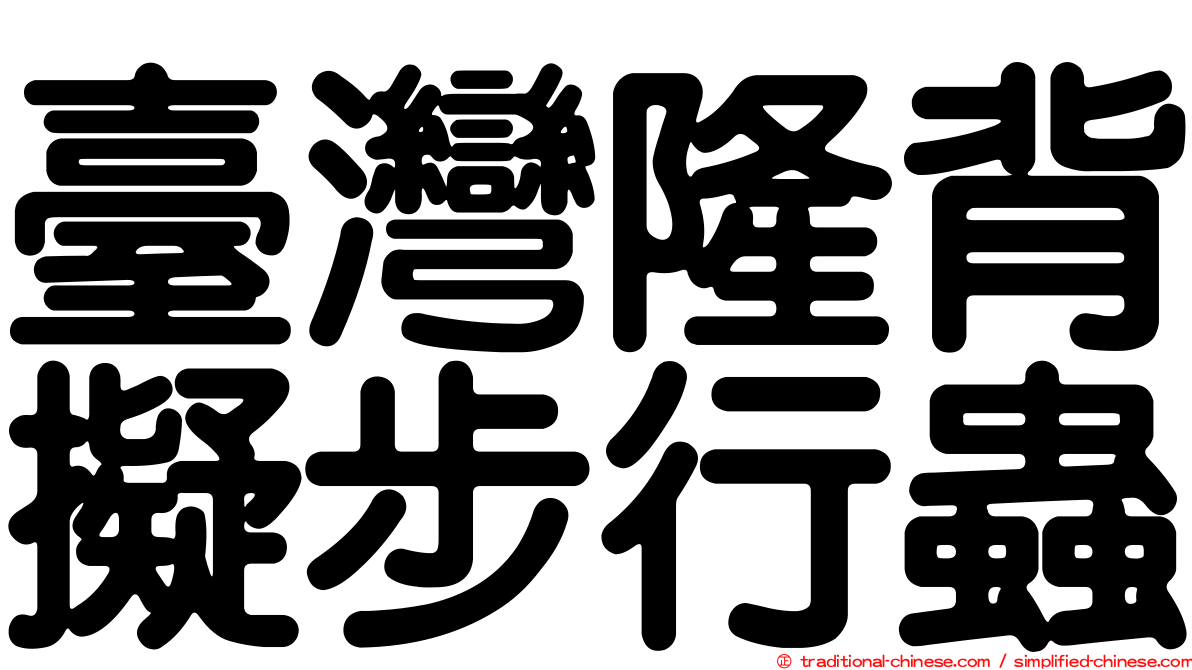 臺灣隆背擬步行蟲