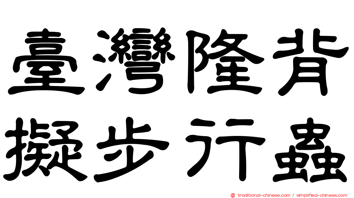 臺灣隆背擬步行蟲