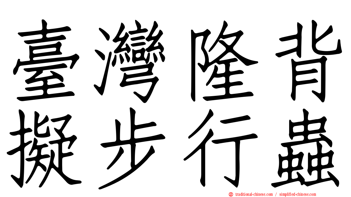 臺灣隆背擬步行蟲