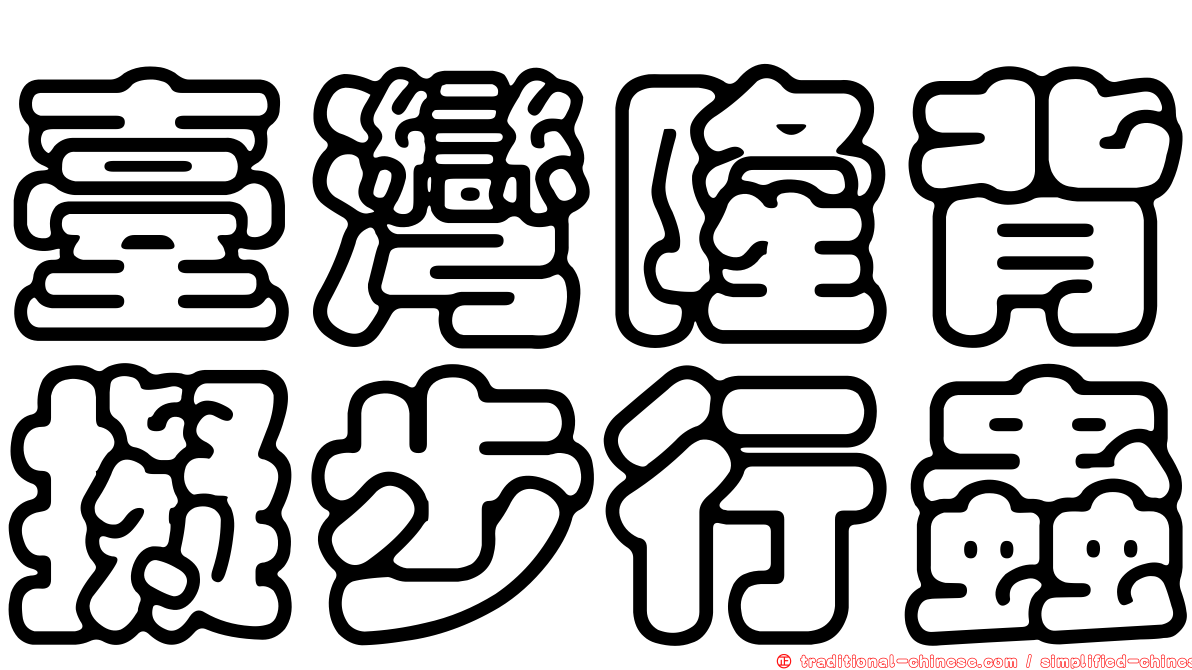 臺灣隆背擬步行蟲