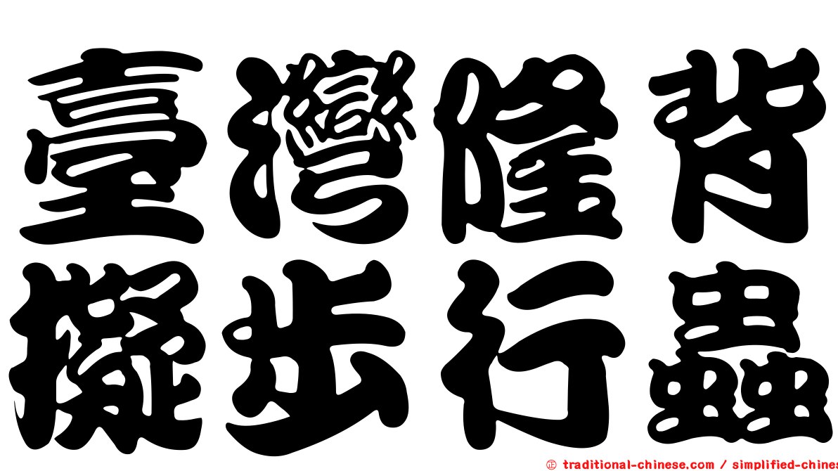 臺灣隆背擬步行蟲