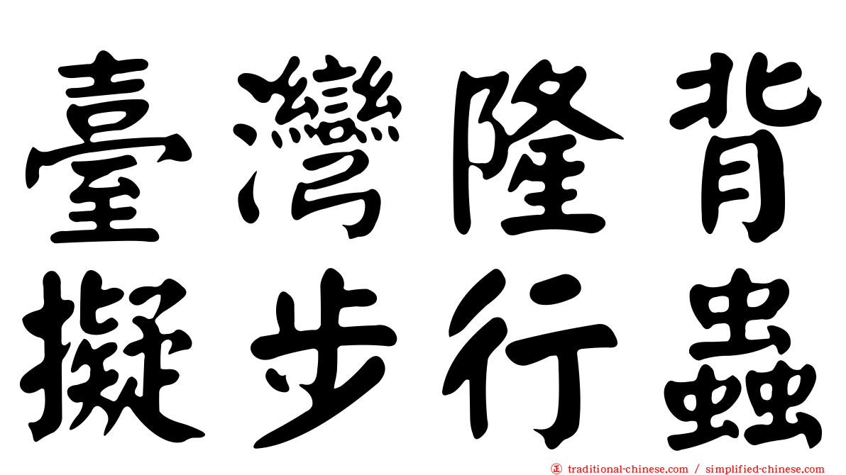 臺灣隆背擬步行蟲