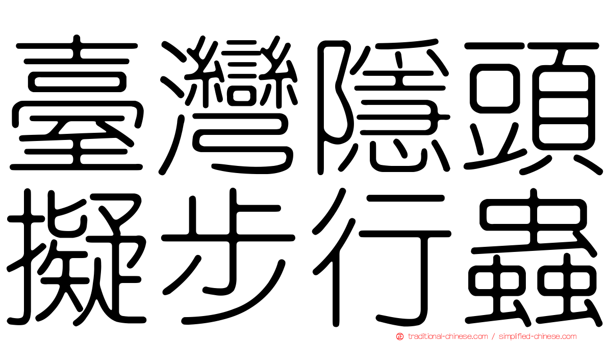 臺灣隱頭擬步行蟲