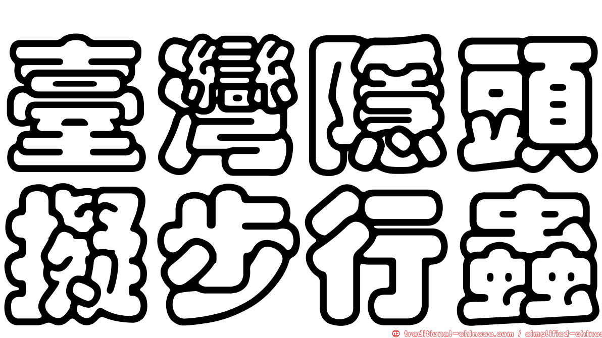 臺灣隱頭擬步行蟲