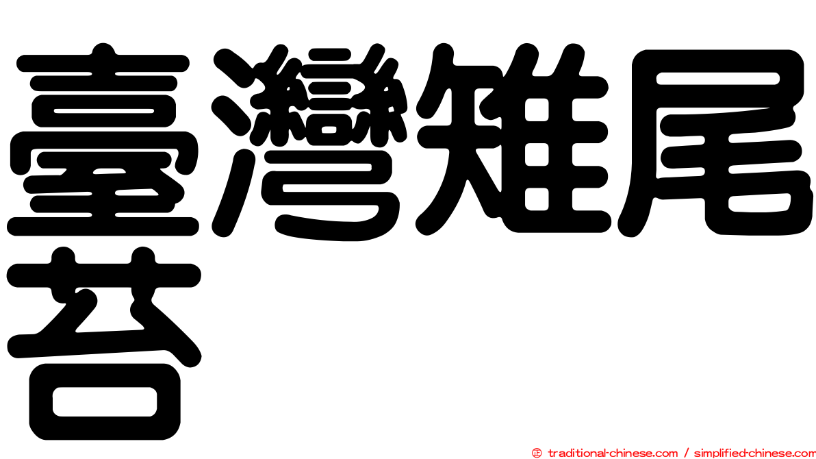 臺灣雉尾苔