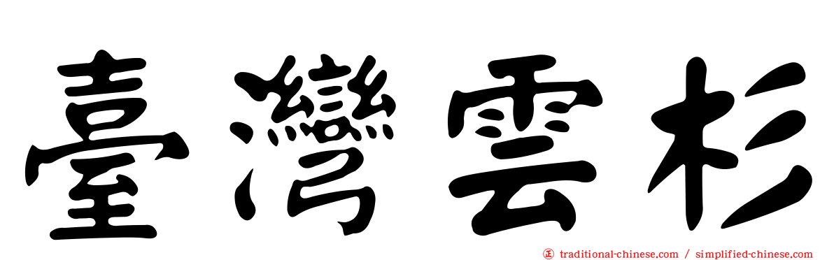 臺灣雲杉