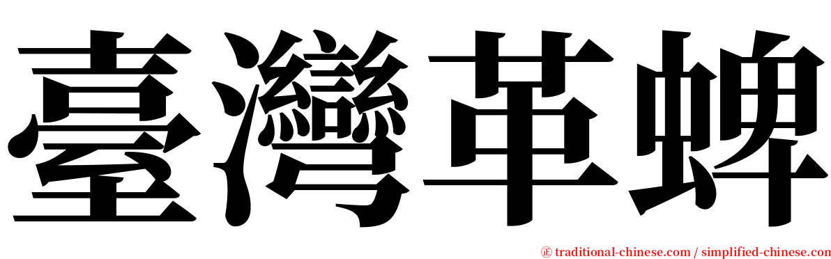 臺灣革蜱 serif font