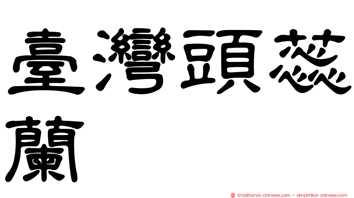 臺灣頭蕊蘭