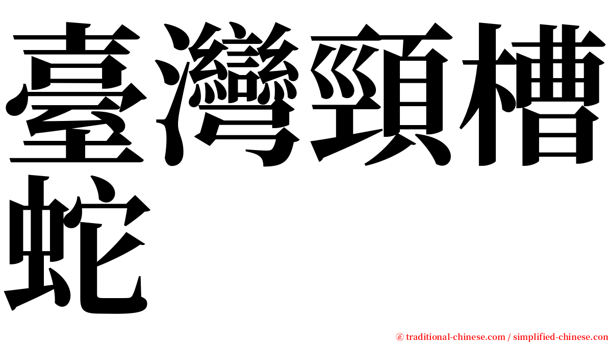臺灣頸槽蛇 serif font