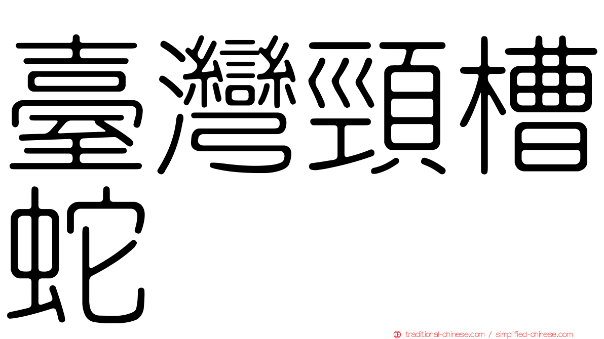 臺灣頸槽蛇