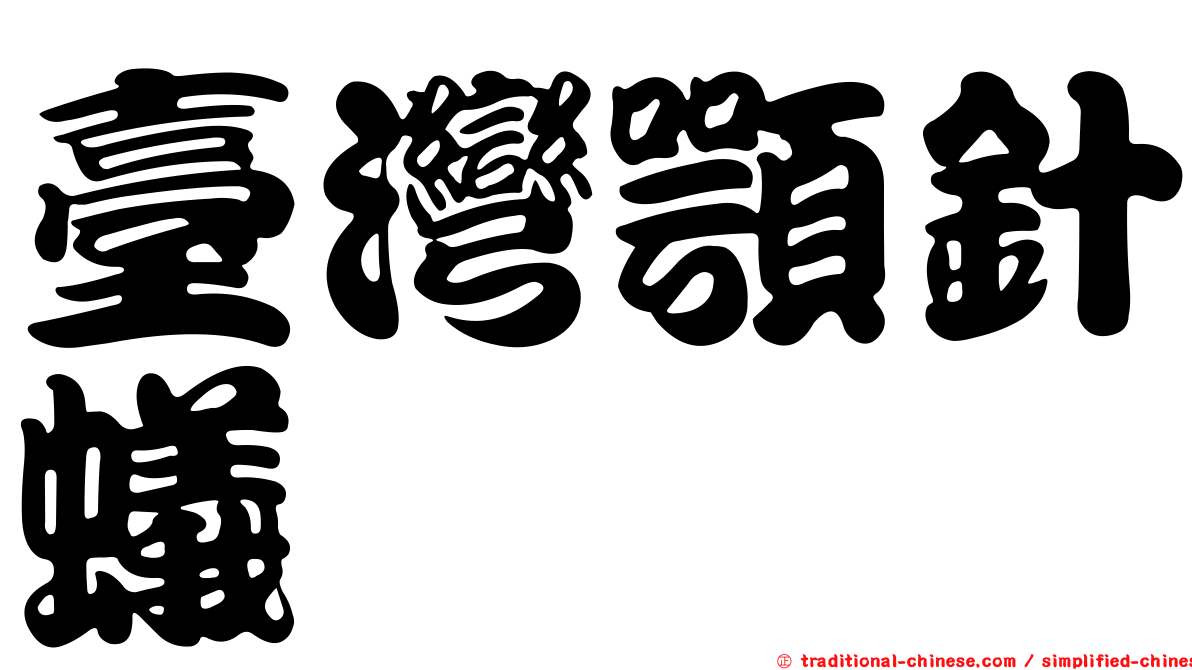 臺灣顎針蟻
