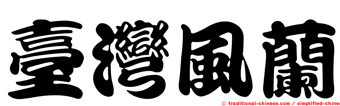 臺灣風蘭