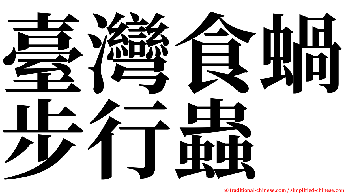臺灣食蝸步行蟲 serif font