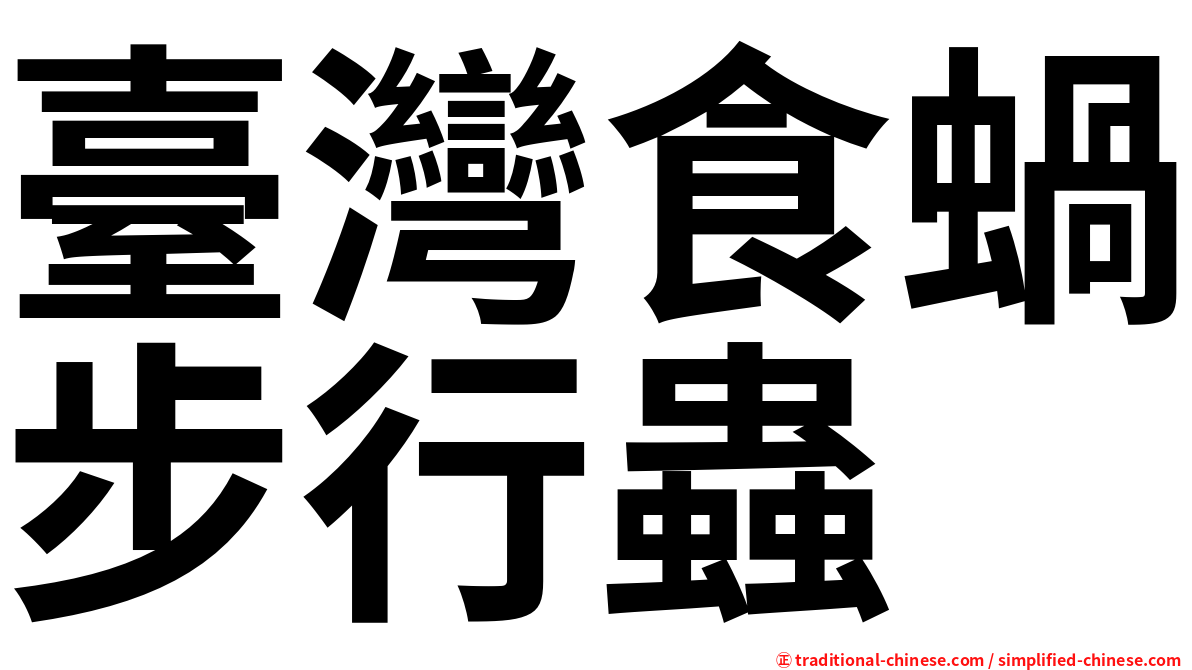 臺灣食蝸步行蟲