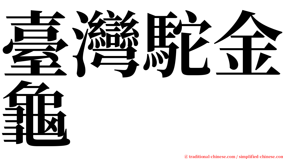 臺灣駝金龜 serif font
