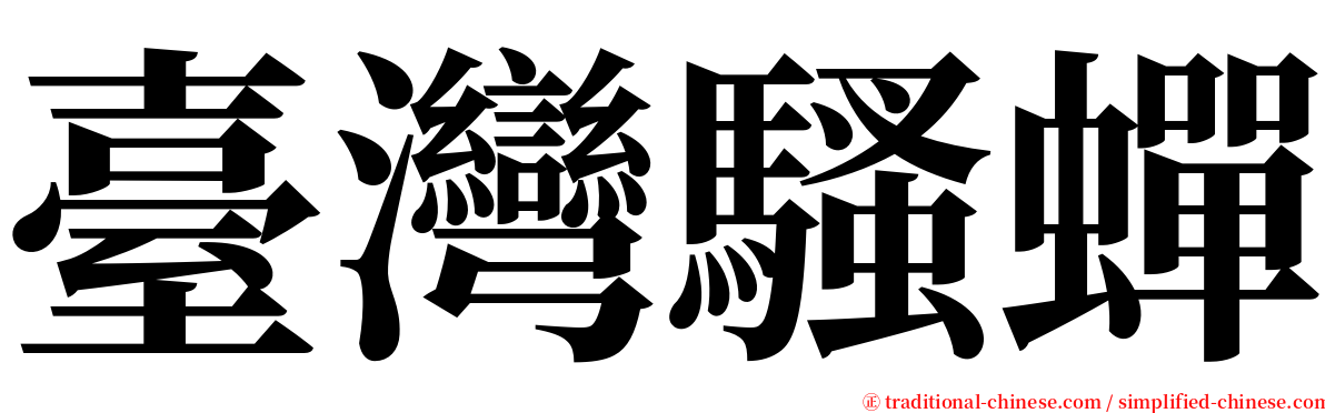臺灣騷蟬 serif font