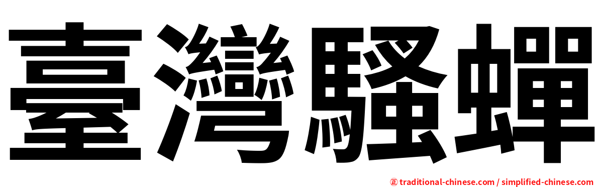 臺灣騷蟬
