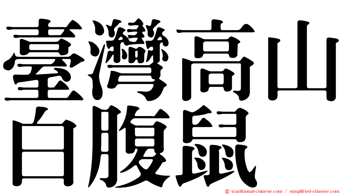臺灣高山白腹鼠