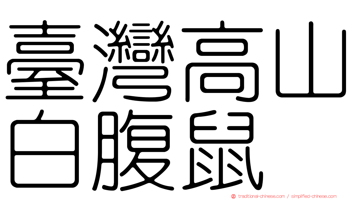 臺灣高山白腹鼠