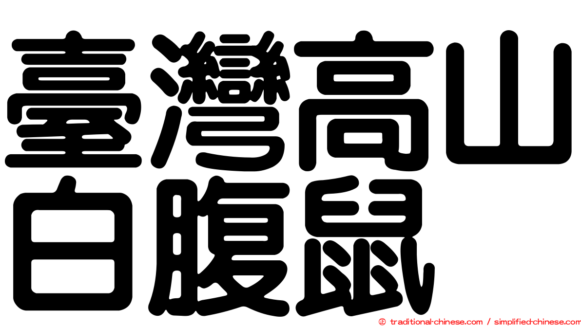 臺灣高山白腹鼠