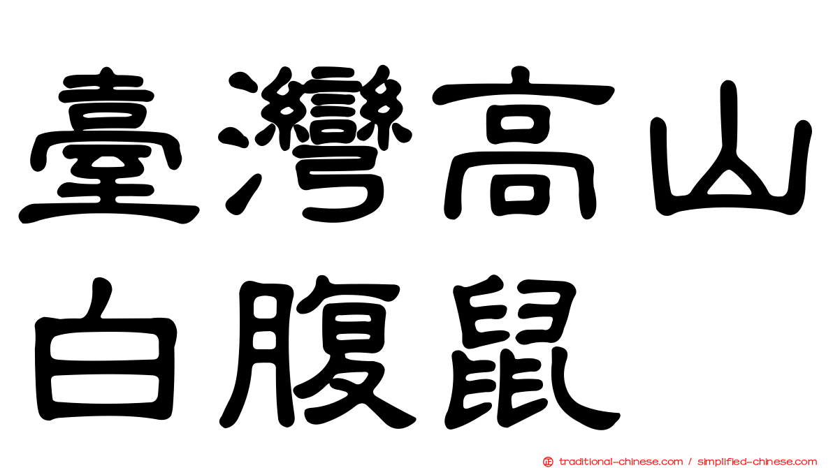 臺灣高山白腹鼠