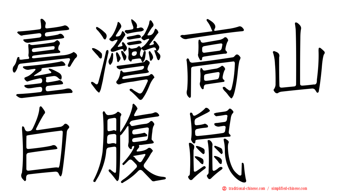 臺灣高山白腹鼠