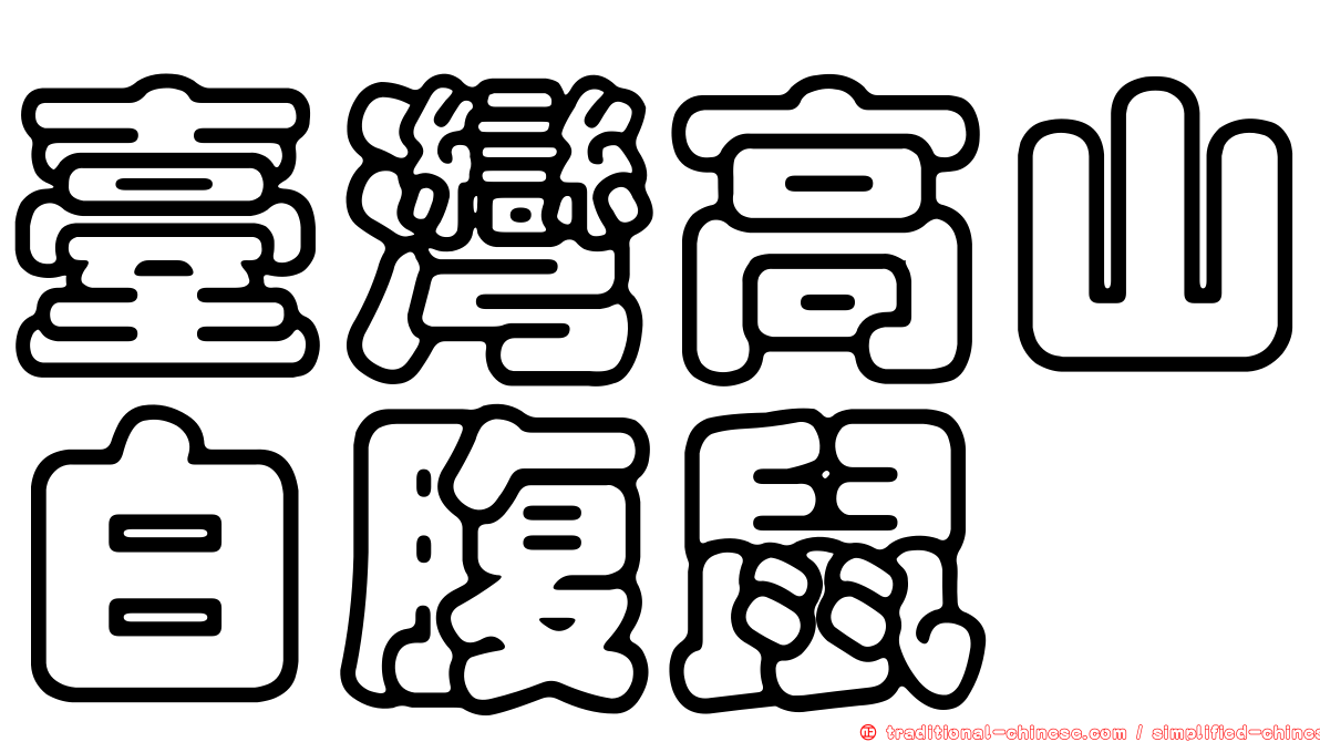 臺灣高山白腹鼠