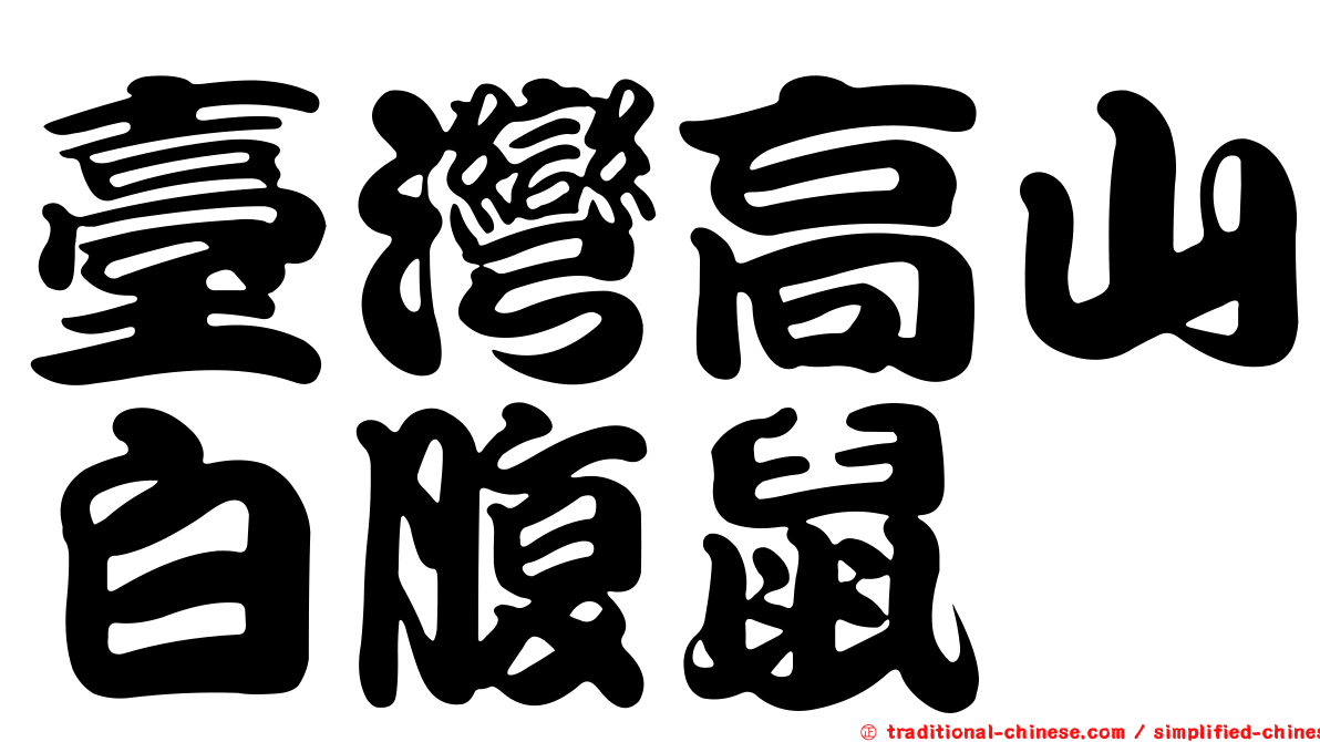 臺灣高山白腹鼠