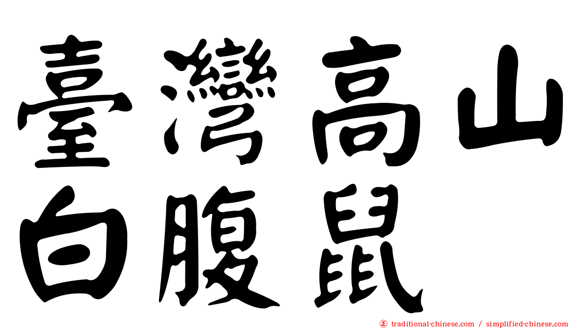 臺灣高山白腹鼠