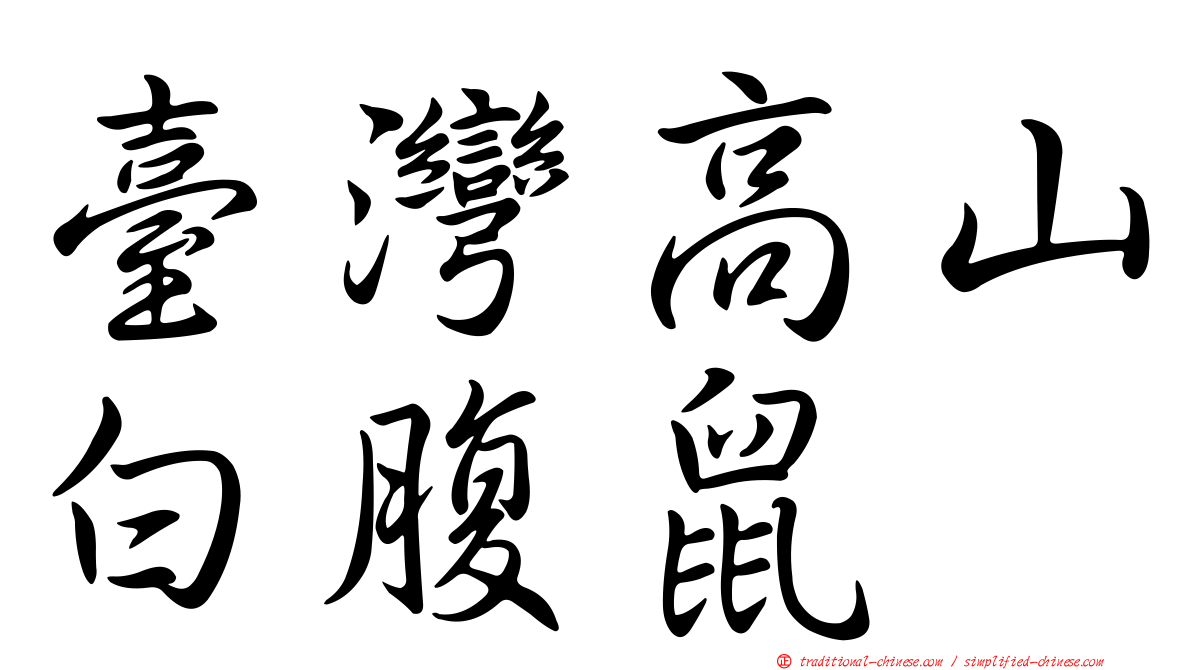 臺灣高山白腹鼠