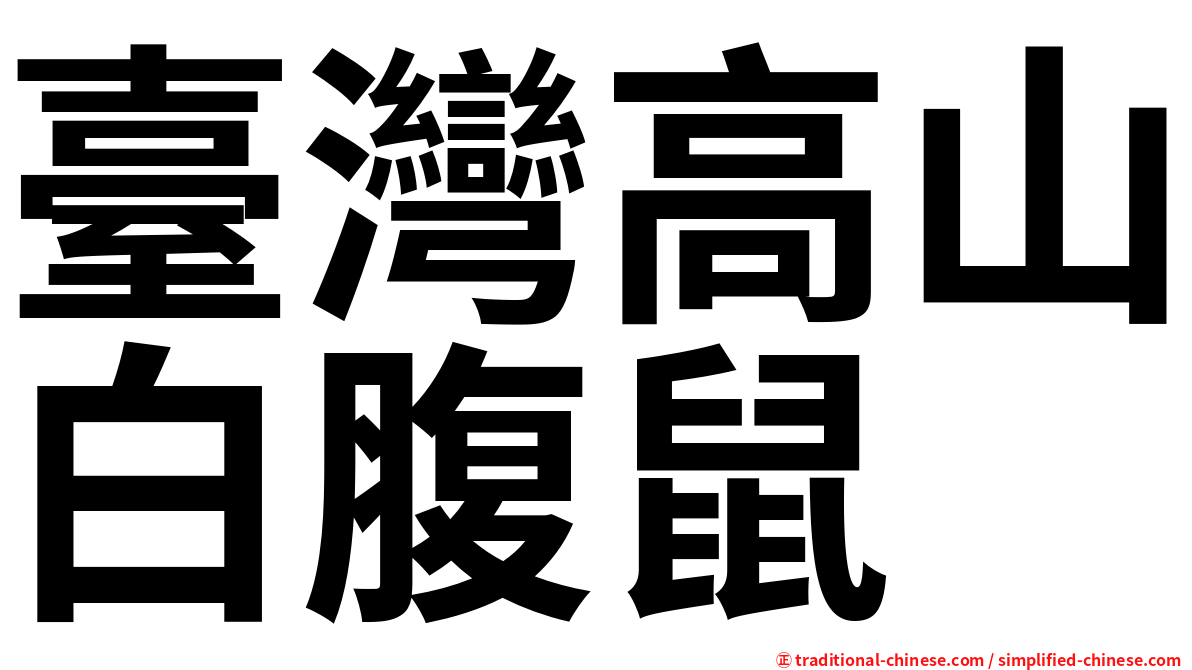臺灣高山白腹鼠