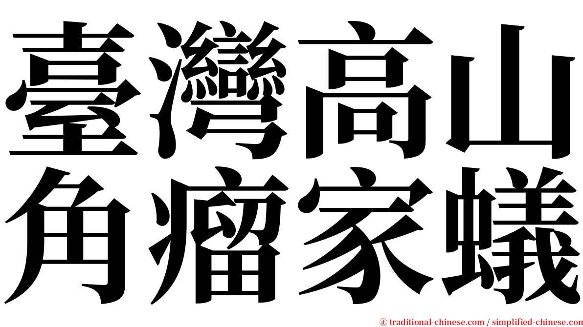 臺灣高山角瘤家蟻 serif font