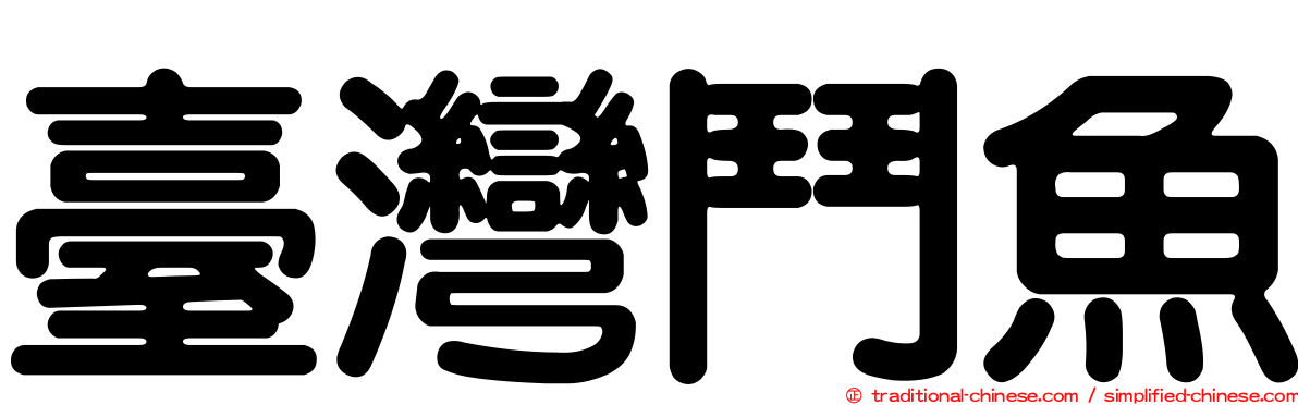臺灣鬥魚