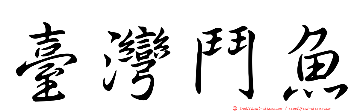 臺灣鬥魚