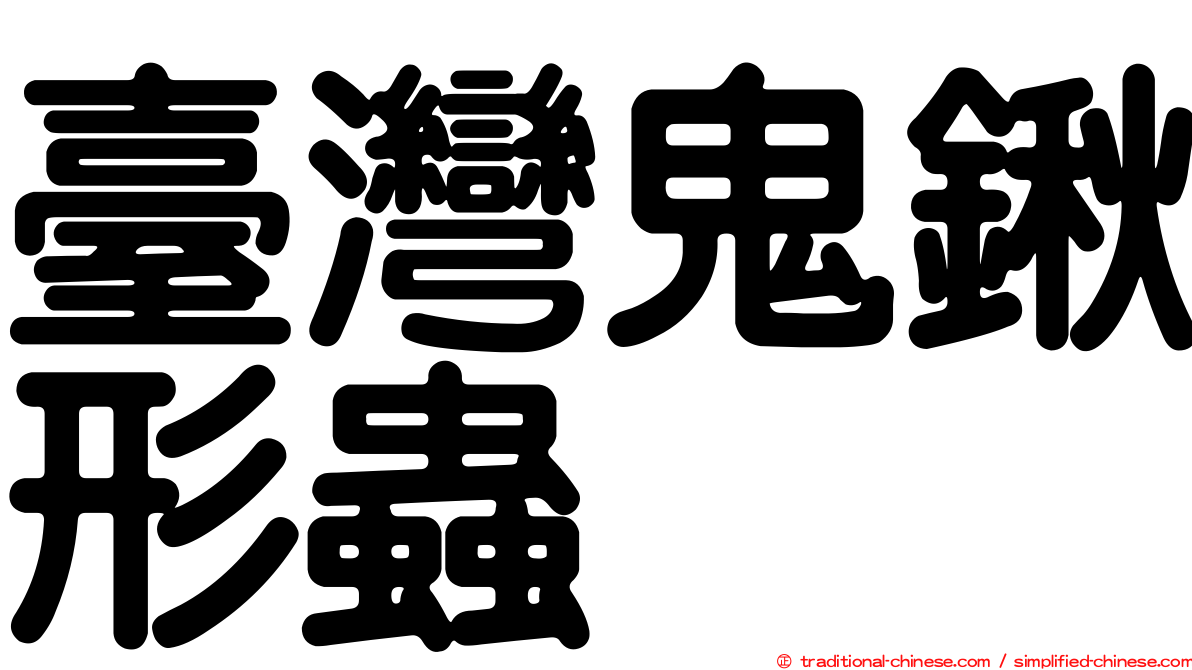 臺灣鬼鍬形蟲