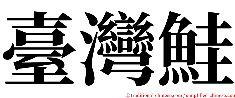 臺灣鮭 serif font