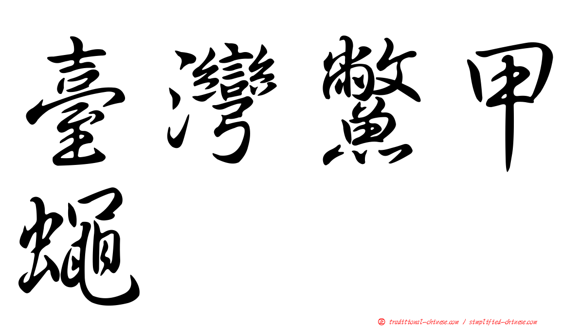 臺灣鱉甲蠅