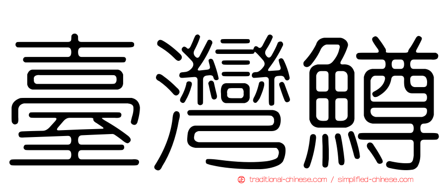 臺灣鱒