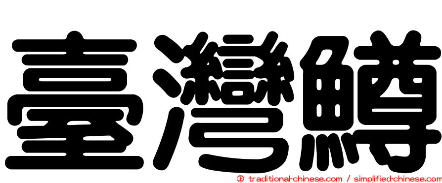 臺灣鱒