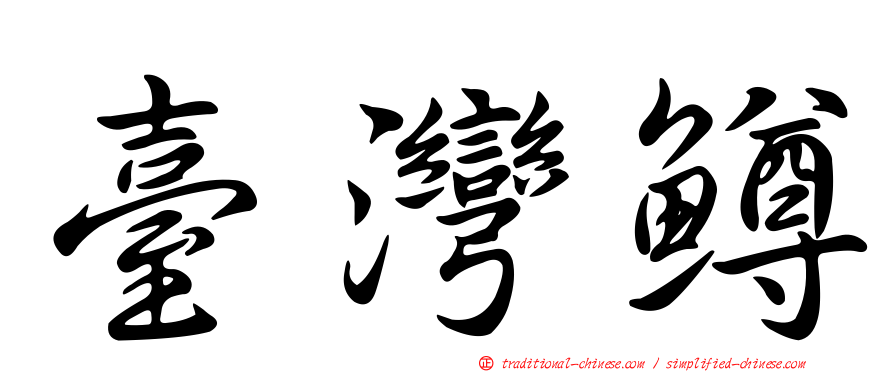 臺灣鱒