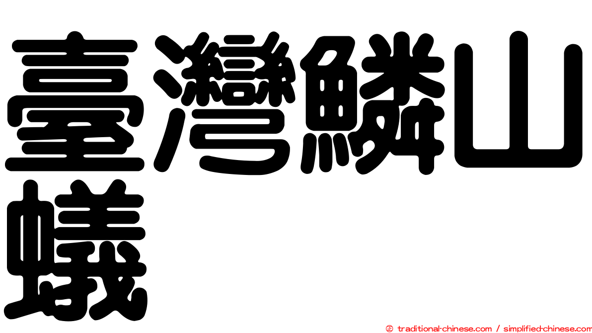 臺灣鱗山蟻
