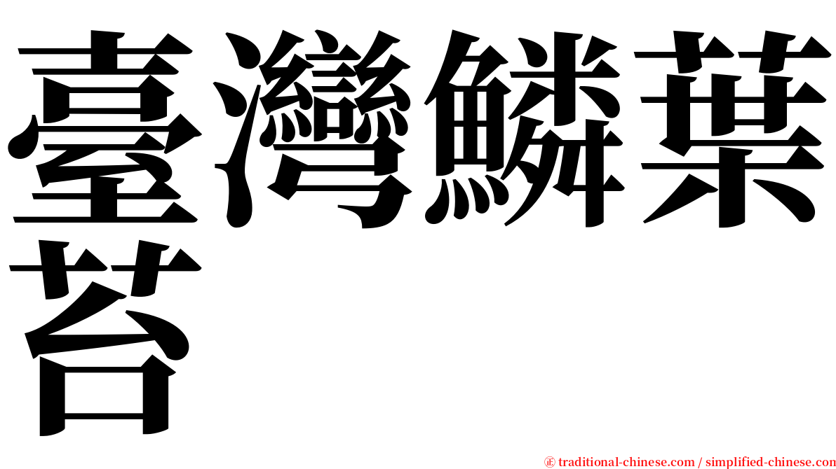 臺灣鱗葉苔 serif font
