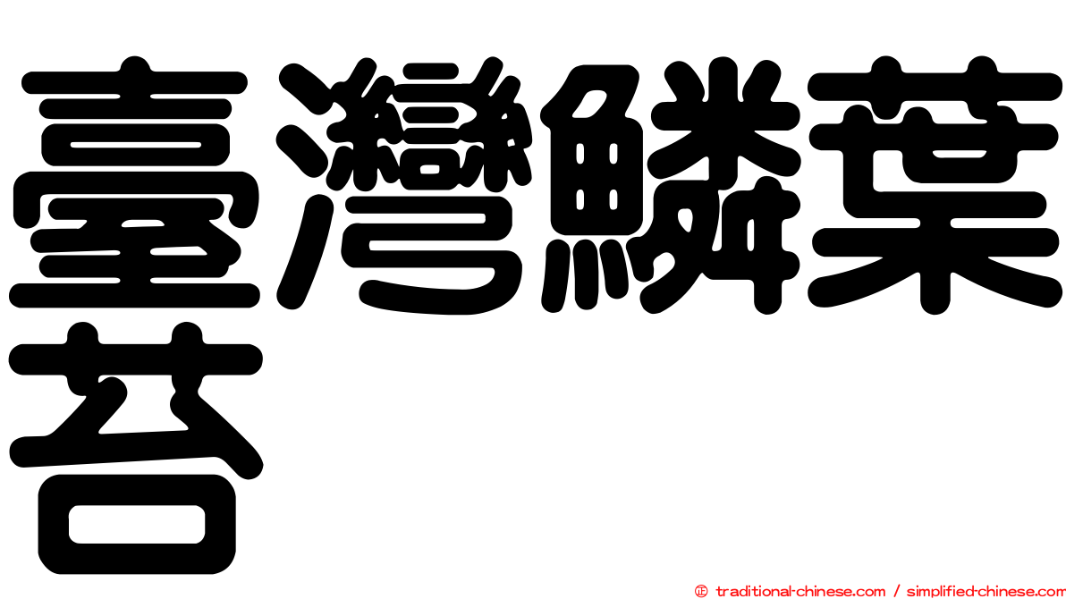 臺灣鱗葉苔