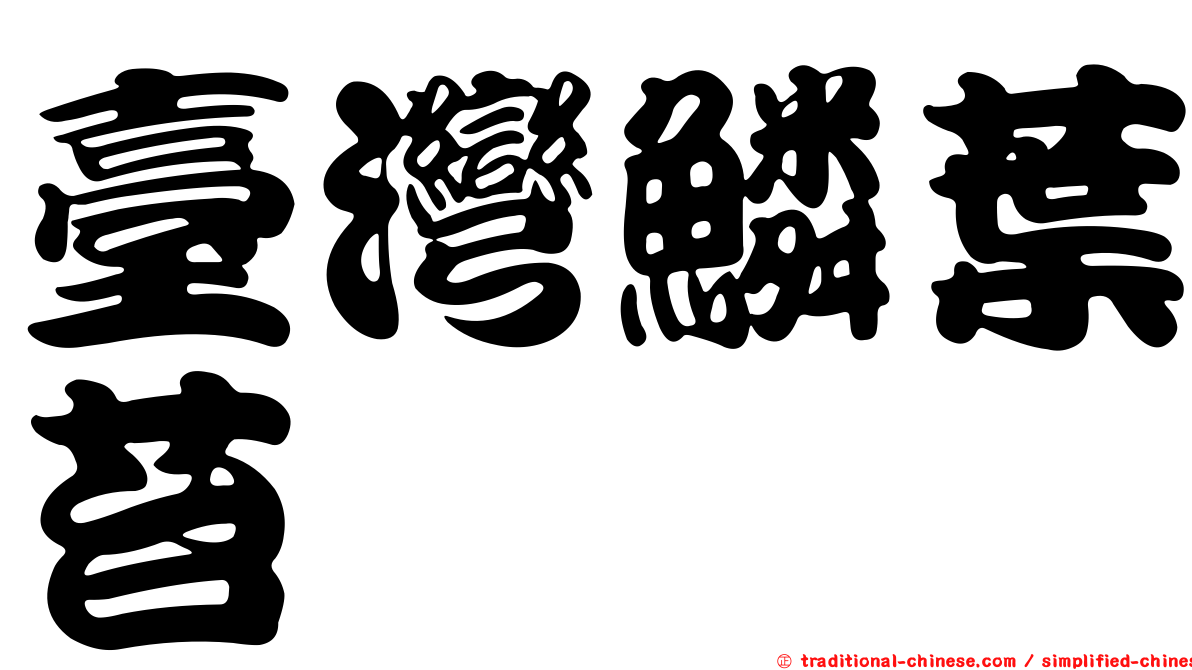 臺灣鱗葉苔
