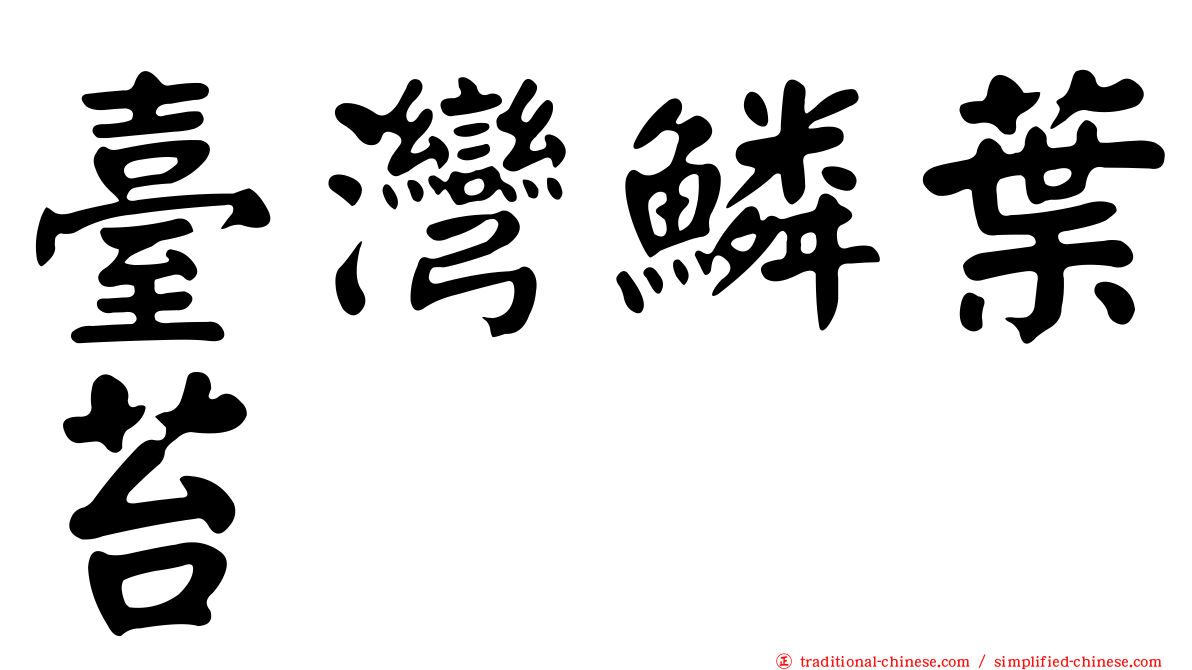 臺灣鱗葉苔
