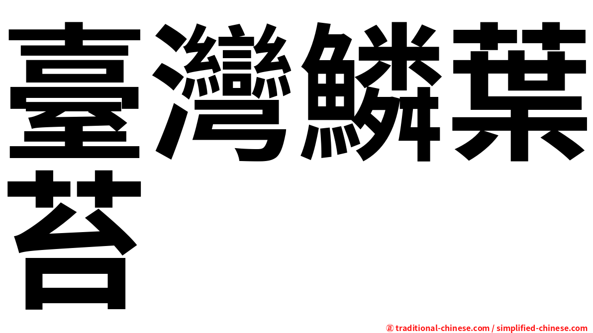 臺灣鱗葉苔
