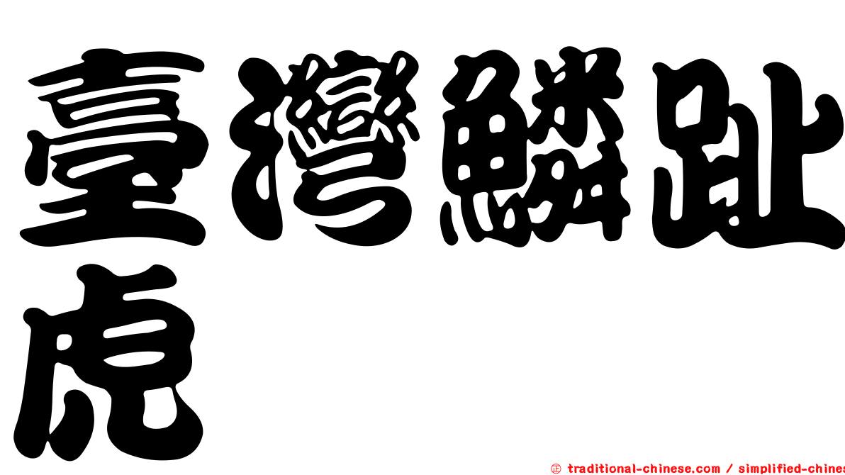 臺灣鱗趾虎