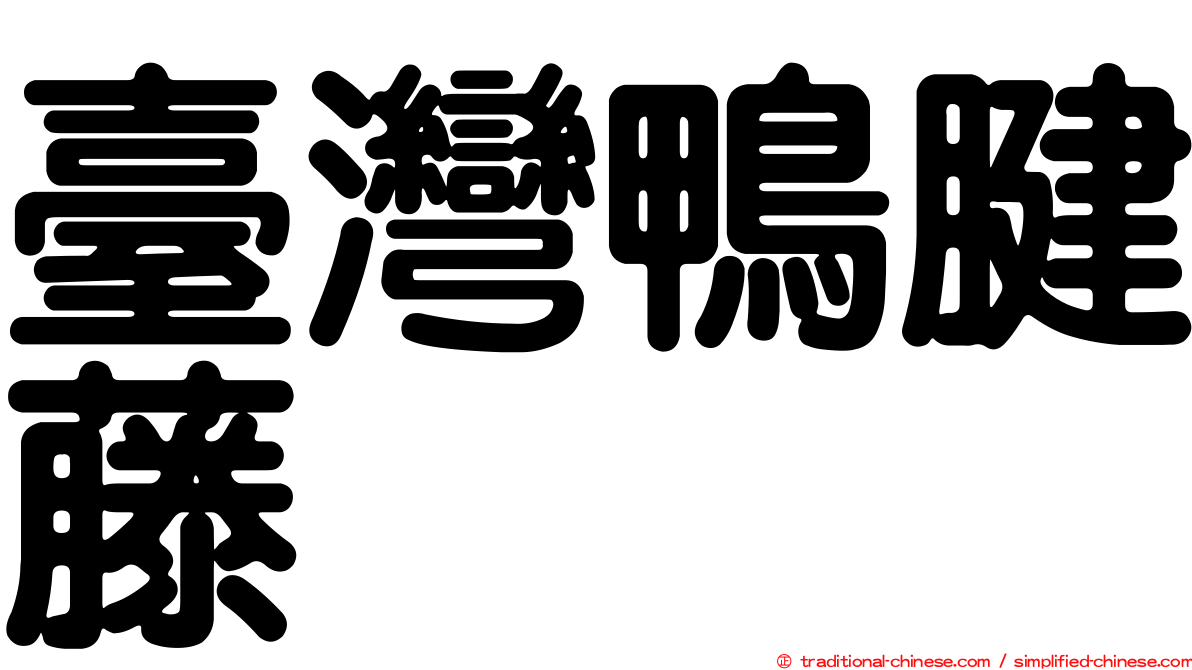 臺灣鴨腱藤